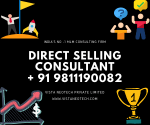 direct selling consultant