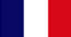 mlm france flag