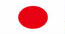 mlm japan flag